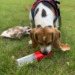 New Marvel Avengers Pet Portable Drinking Bottle -accessories outlet store model 803a7c81 3038 4bc2 984a d345c535dde7 2048x